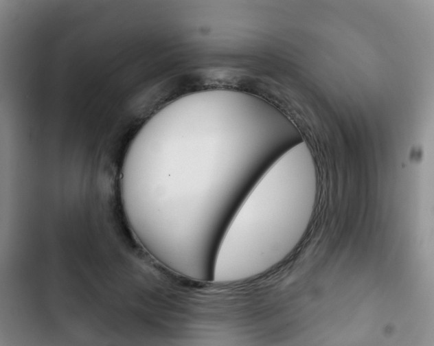 X0000102770649200808180956