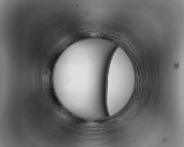 X0000102770650200808180956