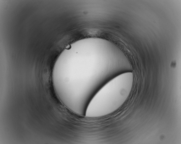 X0000102770651200808180956