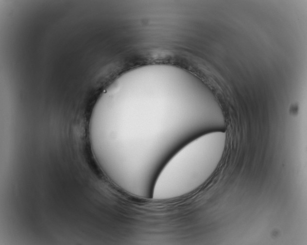 X0000102770654200808180956