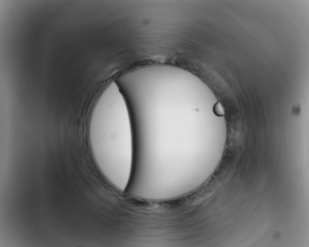 X0000102770656200808180956