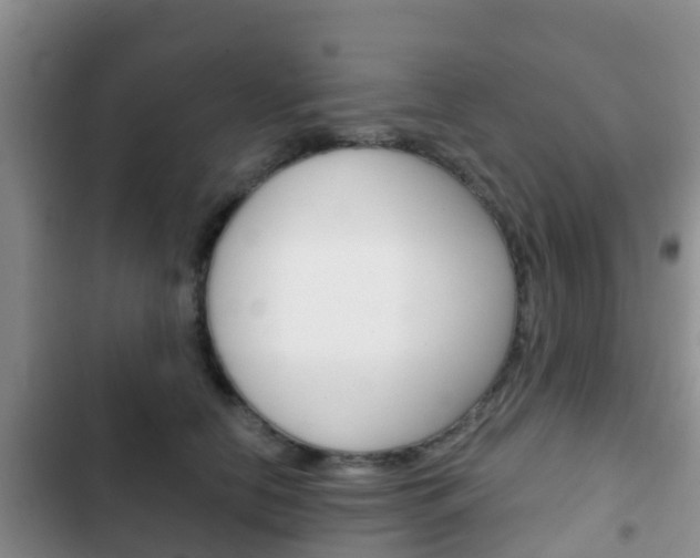 X0000102770658200808180956