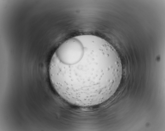 X0000102770662200808180956