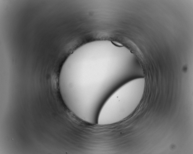 X0000102770669200808180956