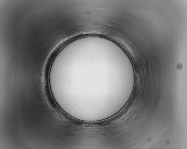 X0000102770676200808180955