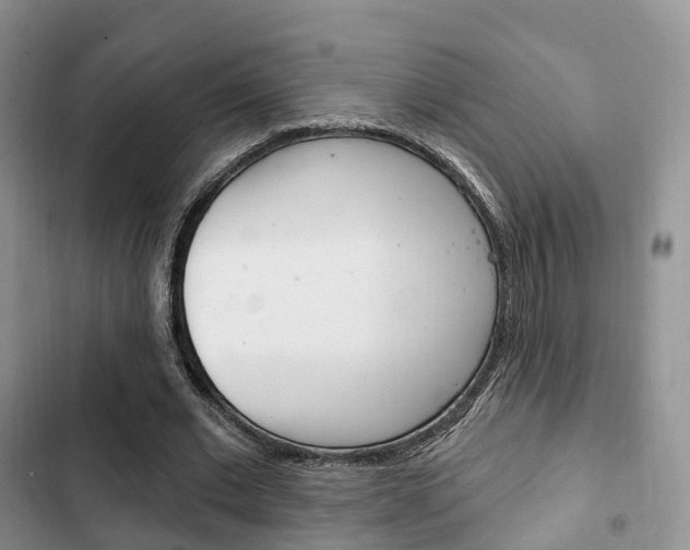 X0000102770677200808180955