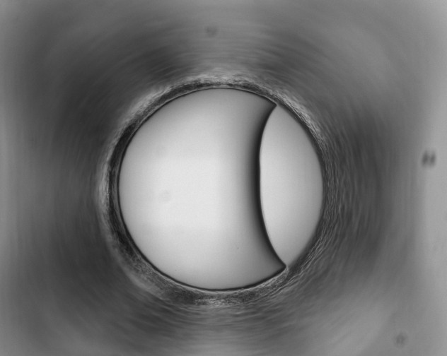 X0000102770678200808180955