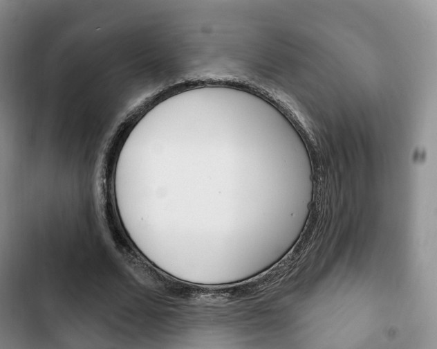 X0000102770680200808180955