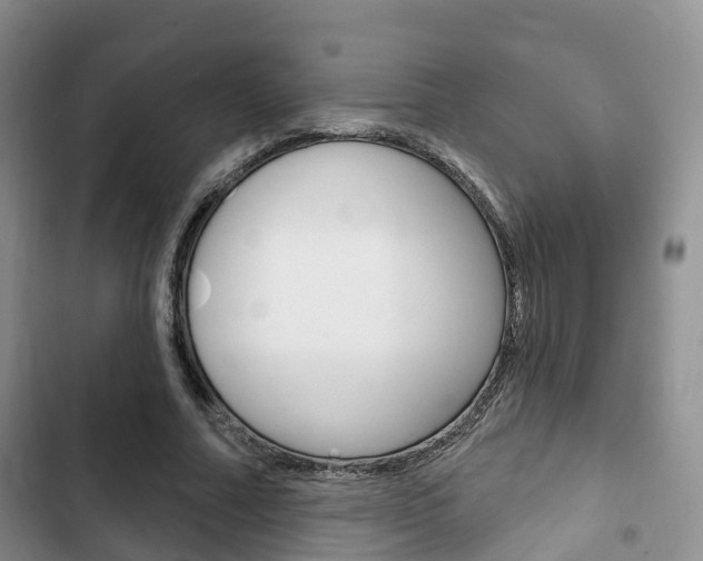 X0000102770682200808180955