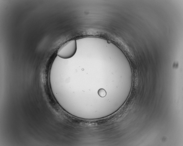 X0000102770683200808180955