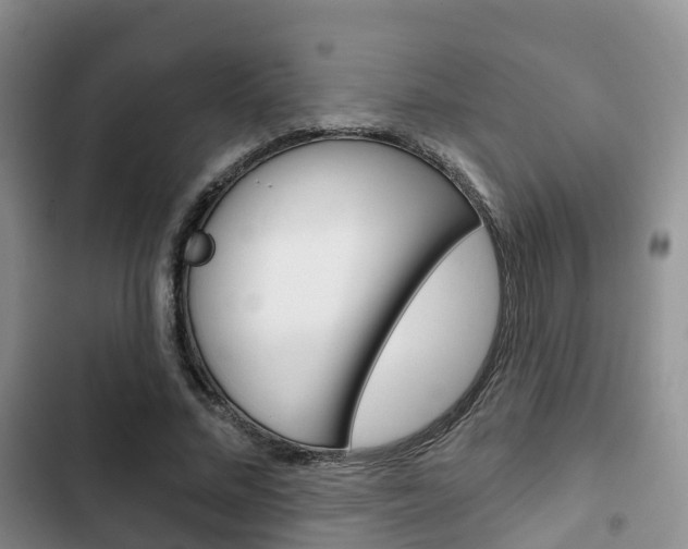 X0000102770684200808180955