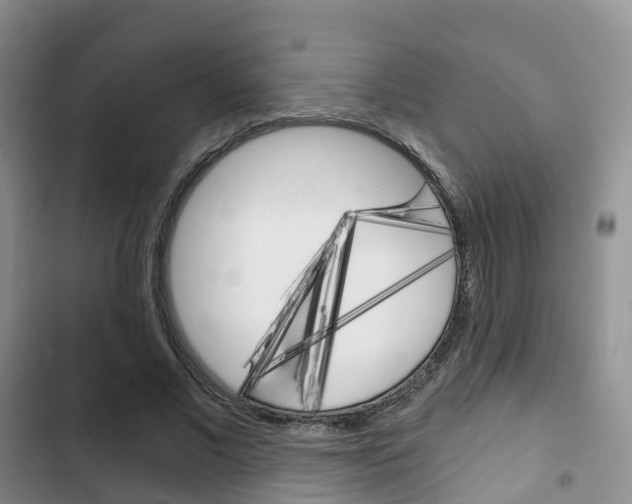X0000102770685200808180955