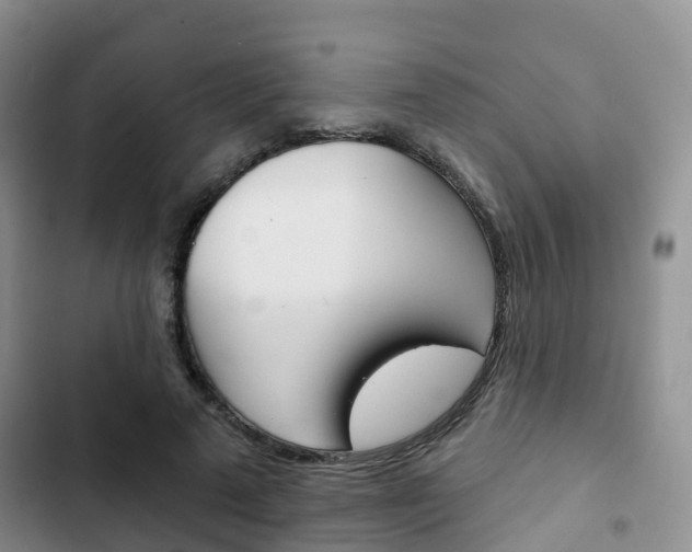 X0000102770689200808180955