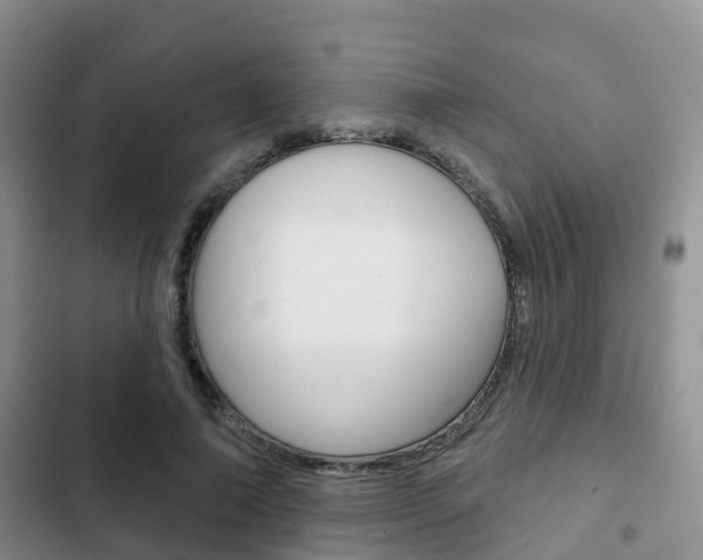 X0000102770690200808180955