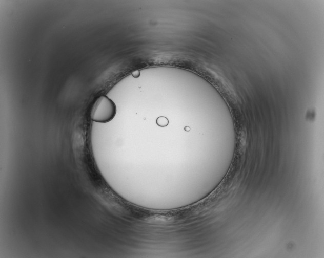X0000102770691200808180955