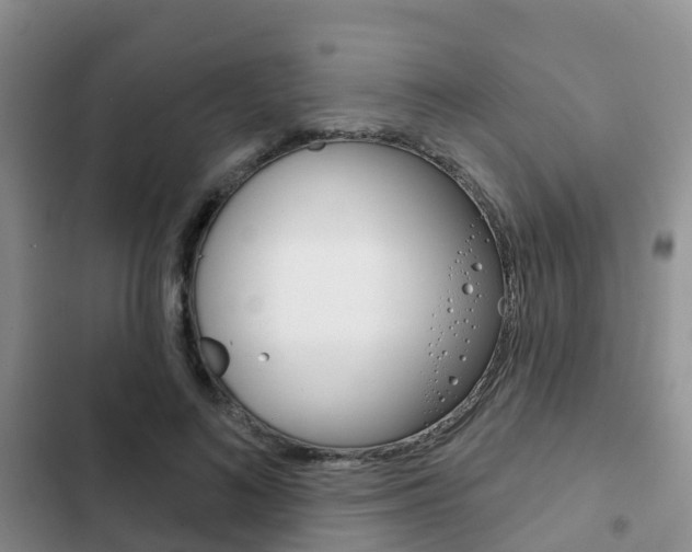 X0000102770692200808180955