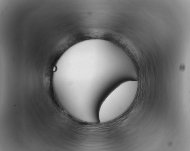 X0000102770697200808180955