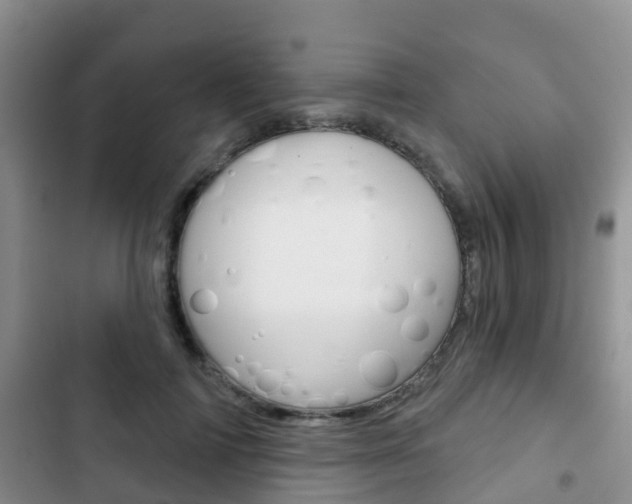 X0000102770698200808180955