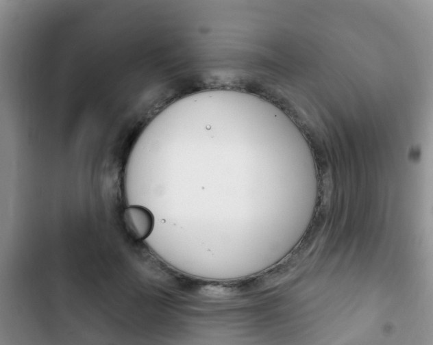 X0000102770699200808180955