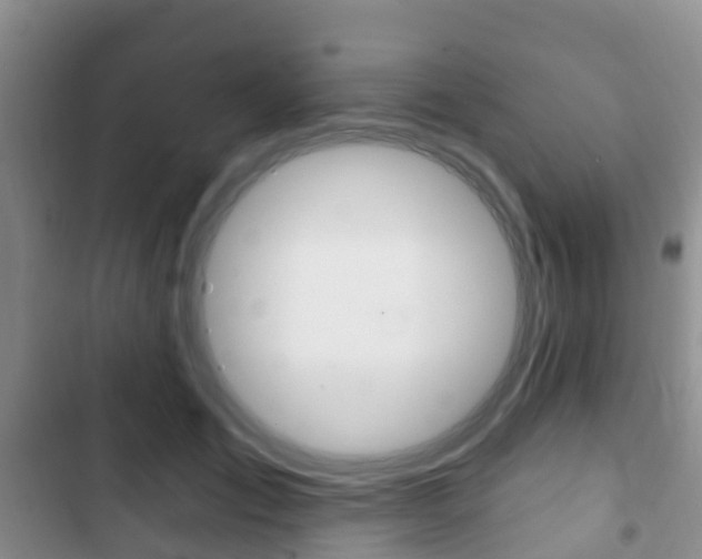 X0000102770701200808180955