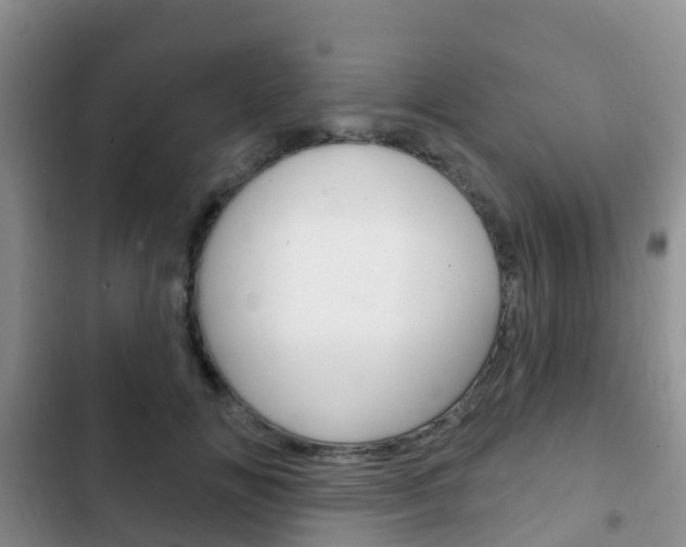 X0000102770702200808180955