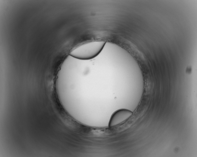 X0000102770703200808180955