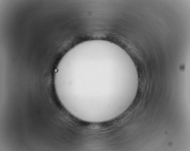 X0000102770704200808180955