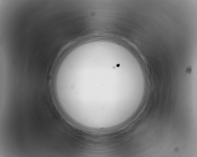 X0000102770705200808180955