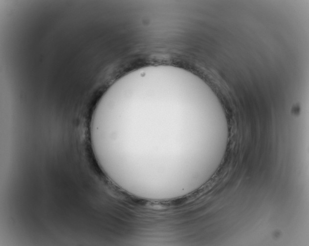 X0000102770706200808180955