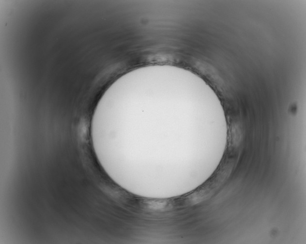 X0000102770709200808180955