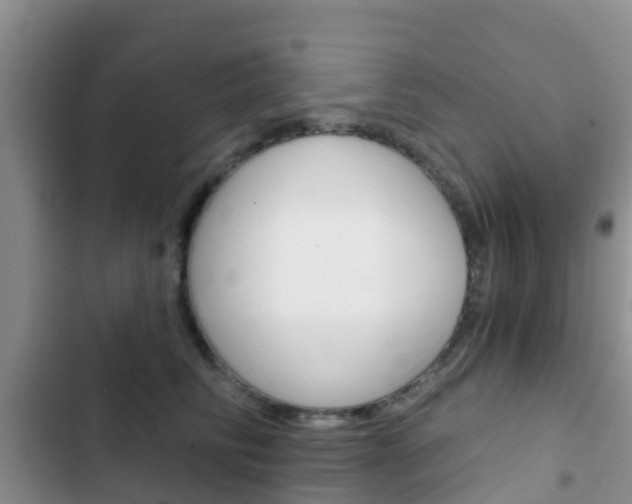 X0000102770710200808180955