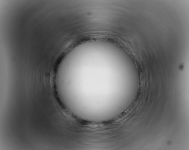 X0000102770712200808180955