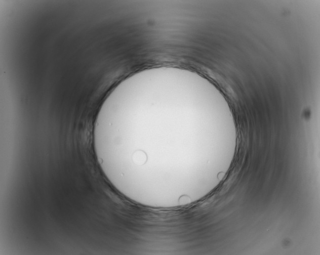 X0000102770713200808180955