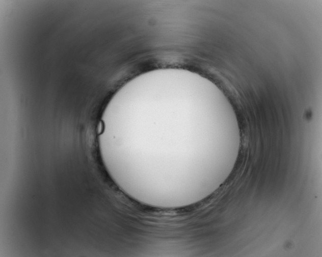 X0000102770715200808180955