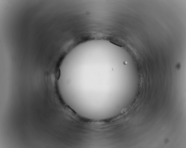 X0000102770716200808180955