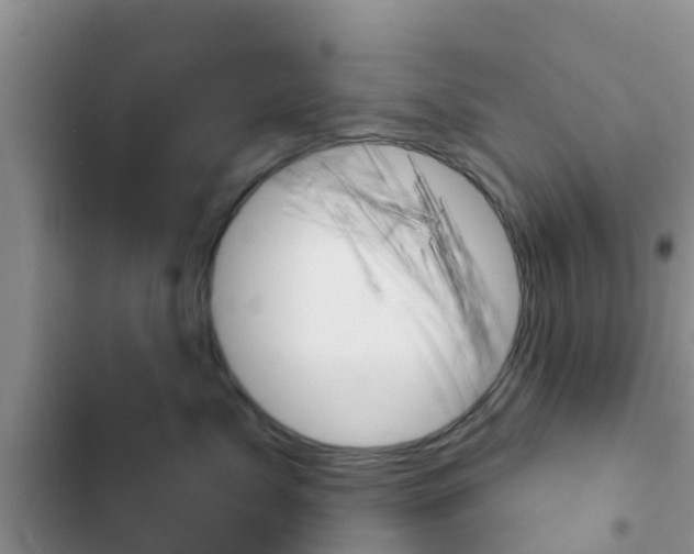 X0000102770717200808180955