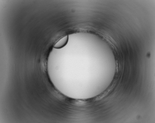 X0000102770718200808180955