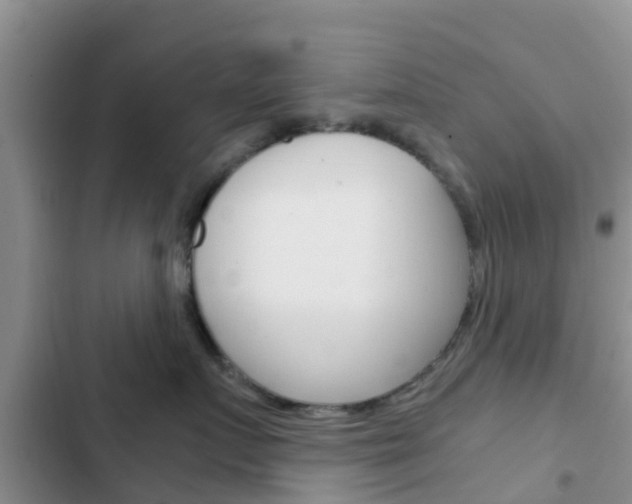 X0000102770719200808180955