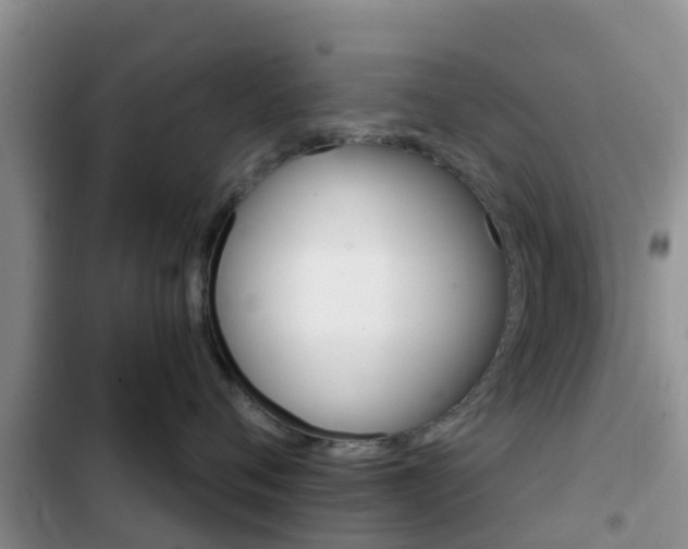 X0000102770720200808180955