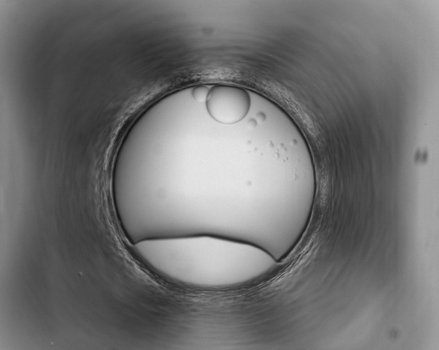 X0000102770721200808180954