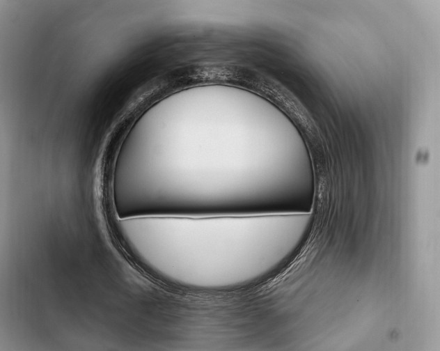 X0000102770722200808180954