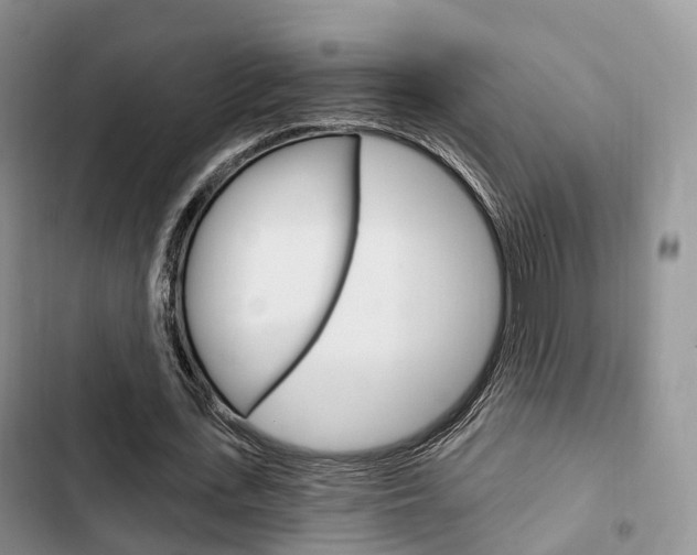 X0000102770723200808180954