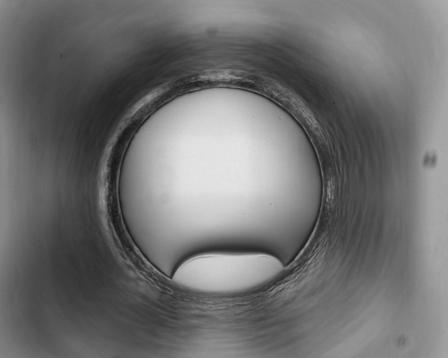 X0000102770724200808180954
