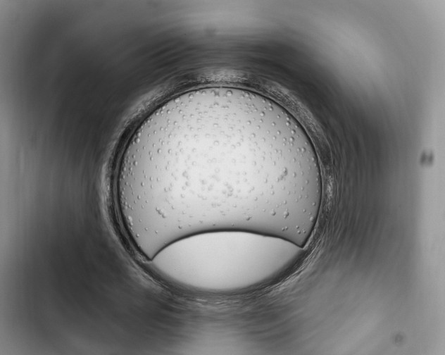X0000102770725200808180954