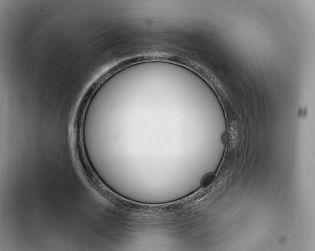 X0000102770726200808180954