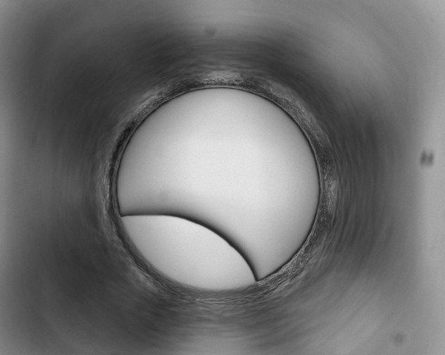 X0000102770729200808180954