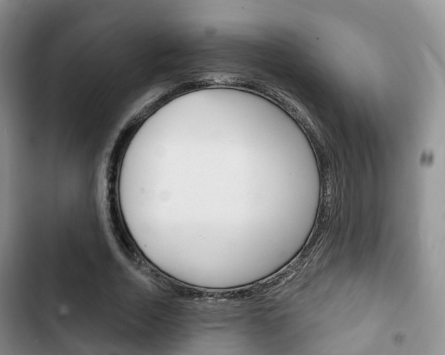 X0000102770730200808180954