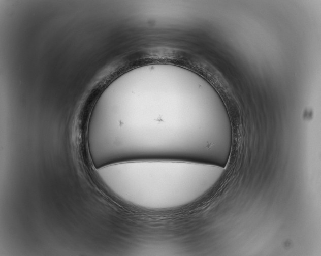 X0000102770731200808180954