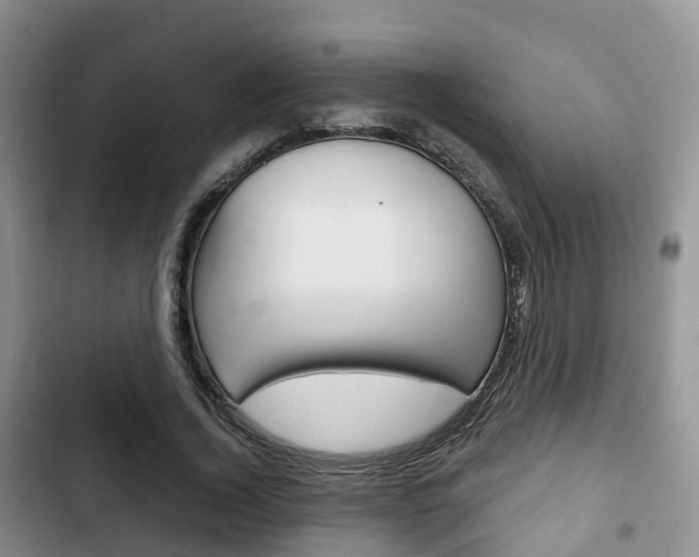 X0000102770732200808180954