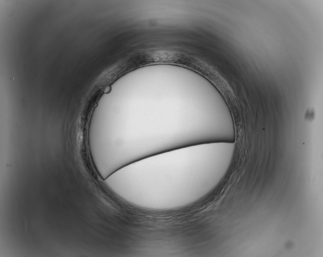 X0000102770733200808180954